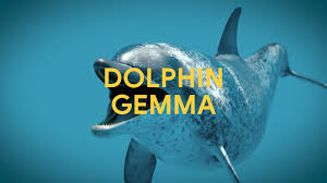 DolphinGemma: 구글 AI, 돌고래 언어 해독에 도전하다